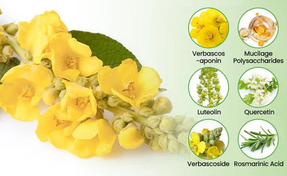 ❣️✅UK Owned and Operated|Botanical Mullein Lung Cleanse Diffuser (💝 Cough, wheezing, shortness of breath, sputum, stuffy nose, bronchitis, bronchitis, allergy symptoms, lung discomfort💝)